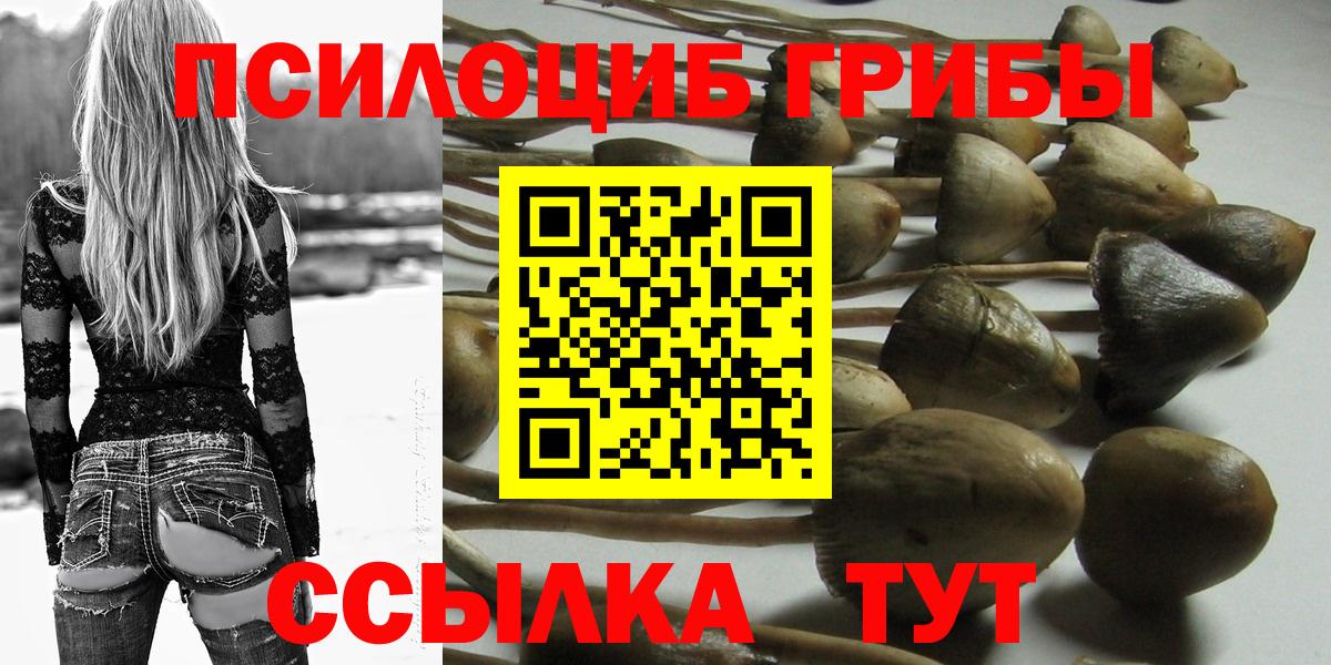Псилоцибиновые грибы Magic Shrooms  купить закладку  Домодедово  Псилоцибиновые грибы прущие грибы  Вход с VPN 