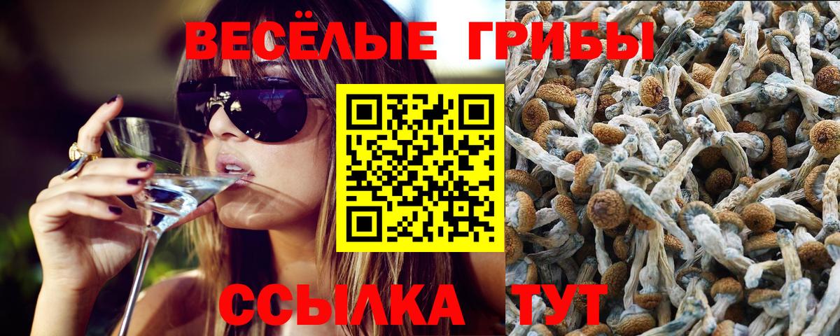 Галлюциногенные грибы ЛСД Домодедово